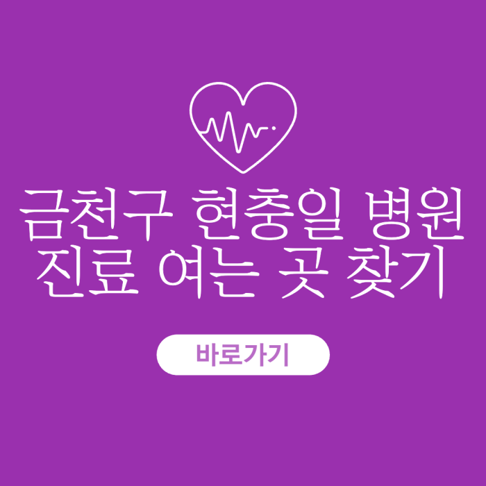 금천구-현충일-병원-진료-여는-곳-찾기