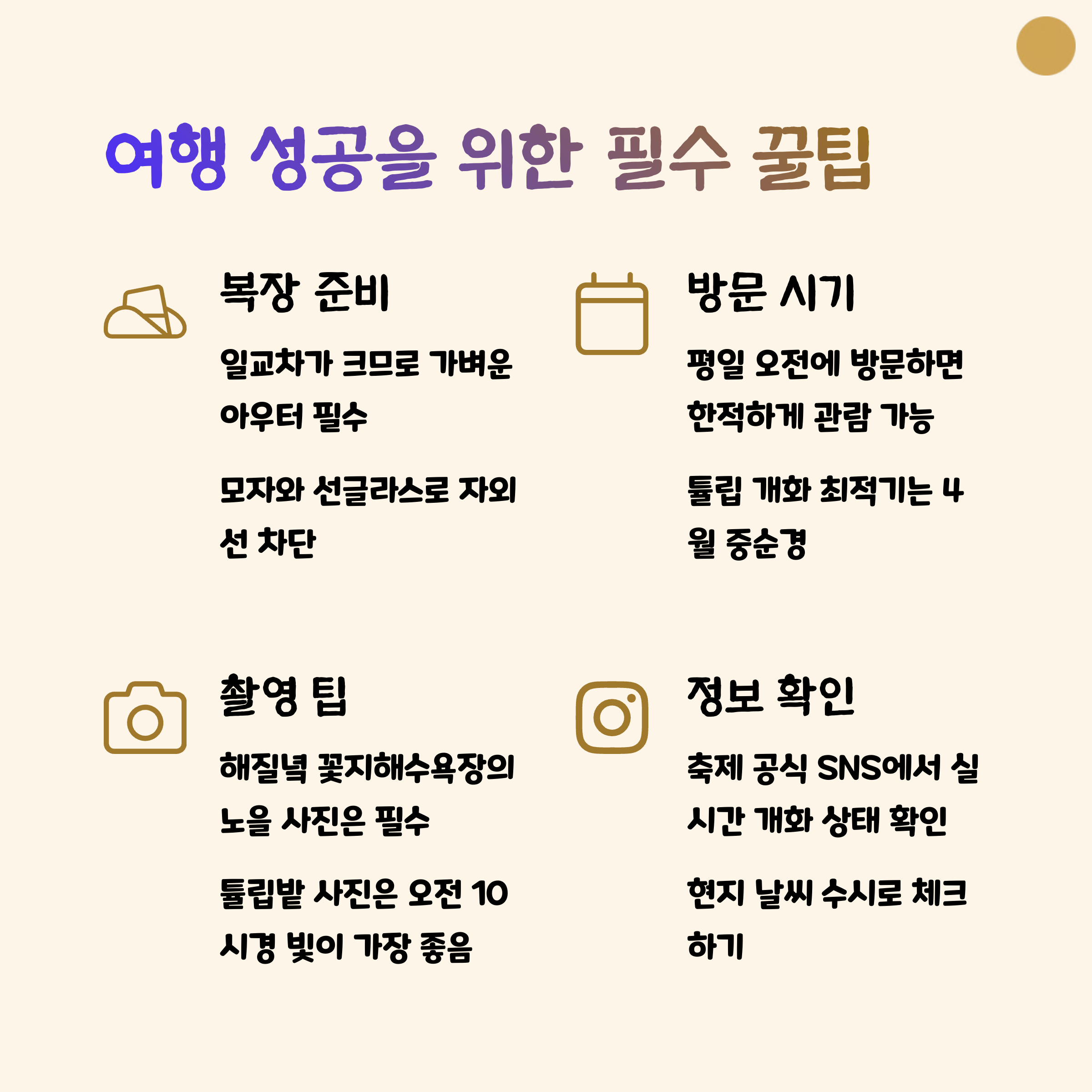 안면도 튤립 축제