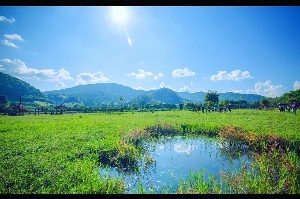 치앙마이 코끼리 구조센터