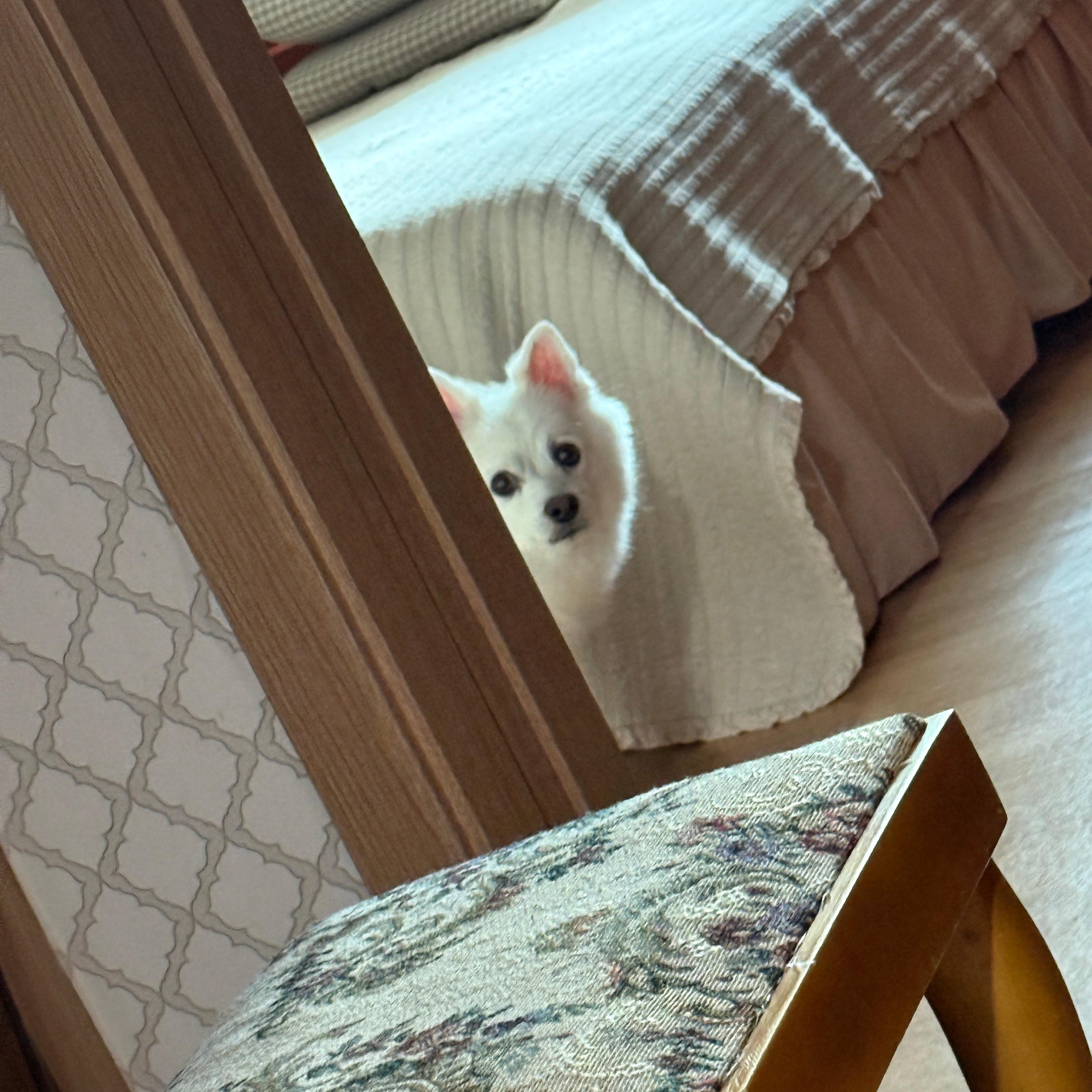 집착