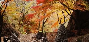 낙엽처럼 살아온 내 모습이 악보 완벽 연주 가이드_19