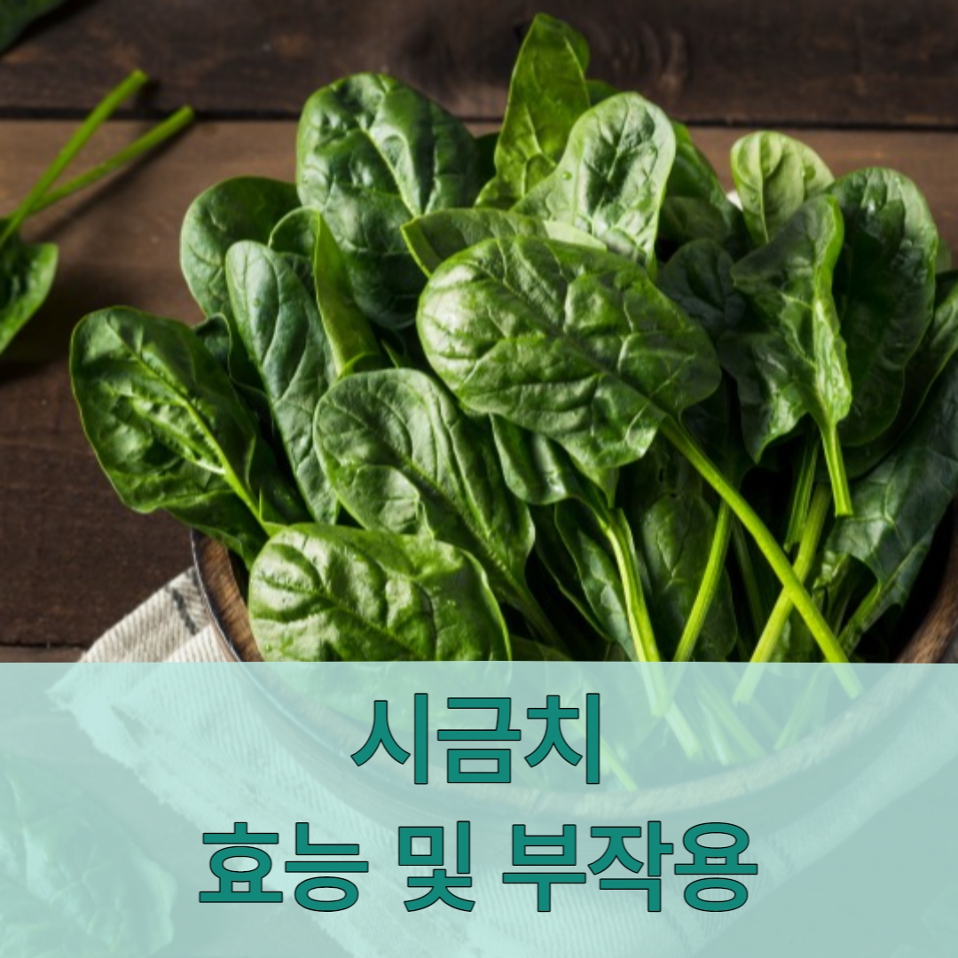 시금치 효능 부작용