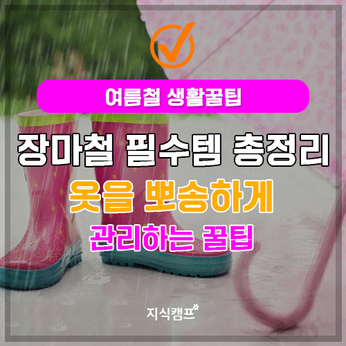 장마철 필수템 총정리 썸네일이미지