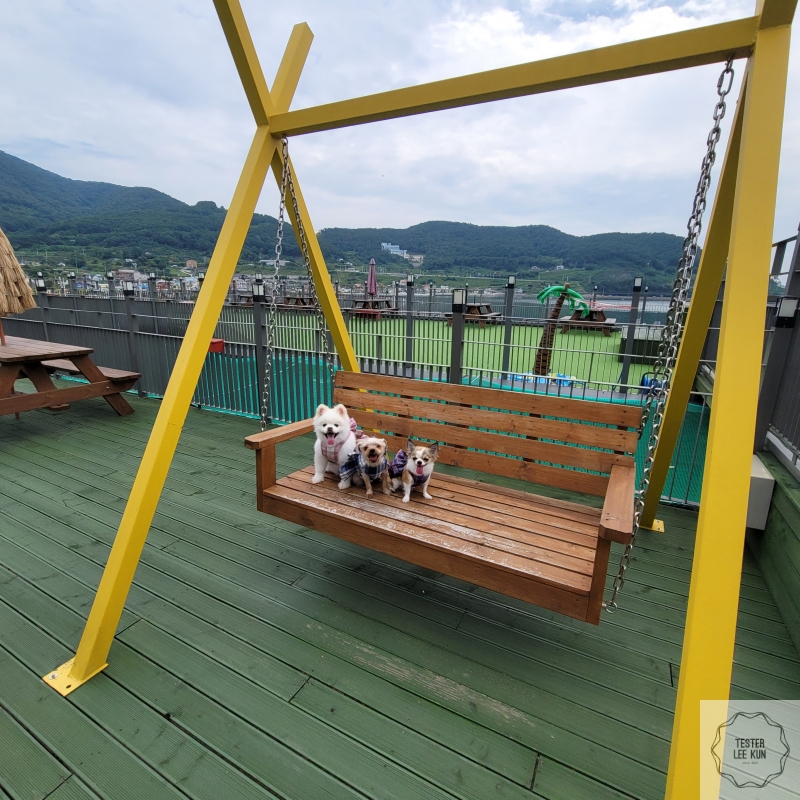 개올나잇-포토존2