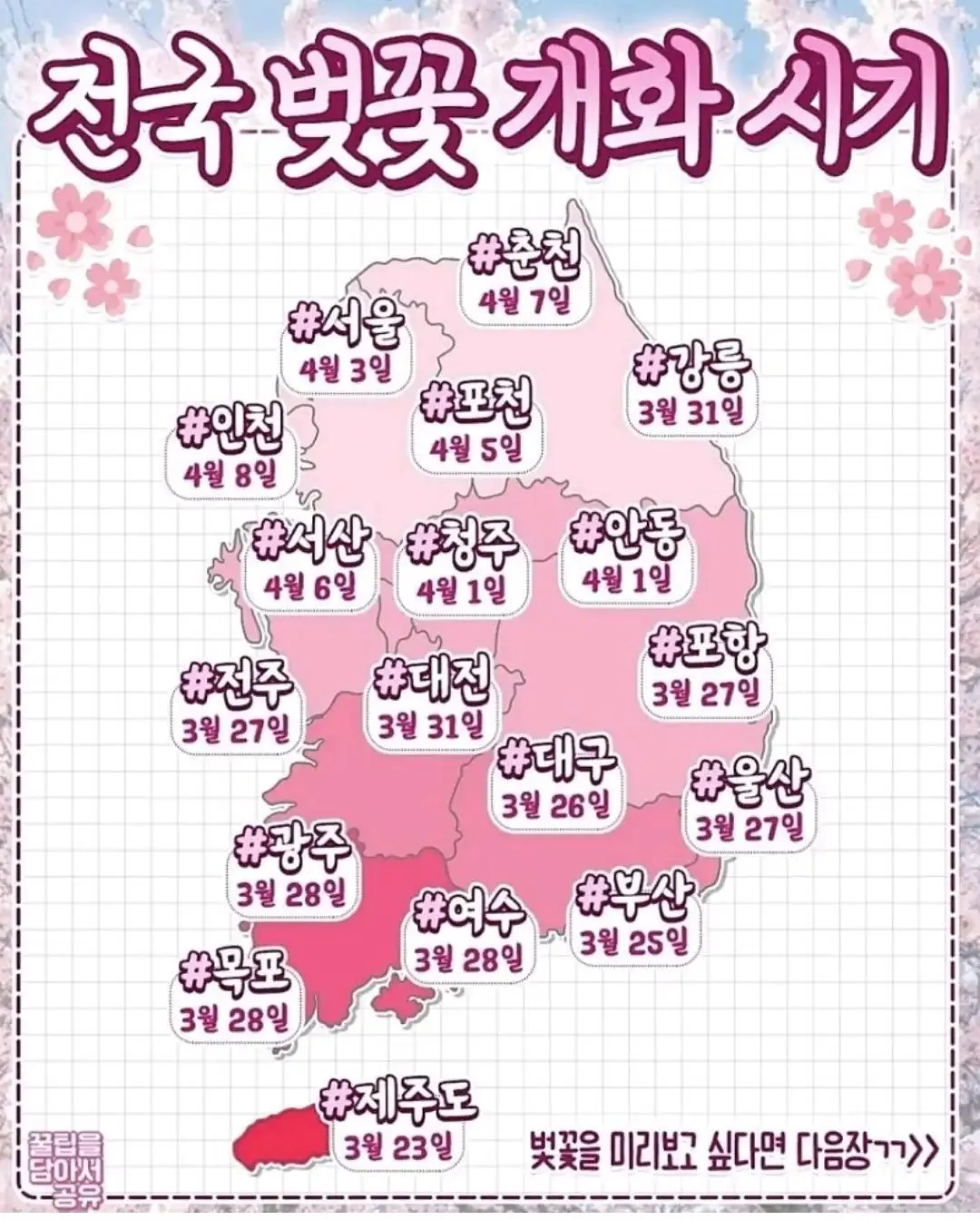 벚꽃 개화시기 2025 만개시기 히든스팟_7