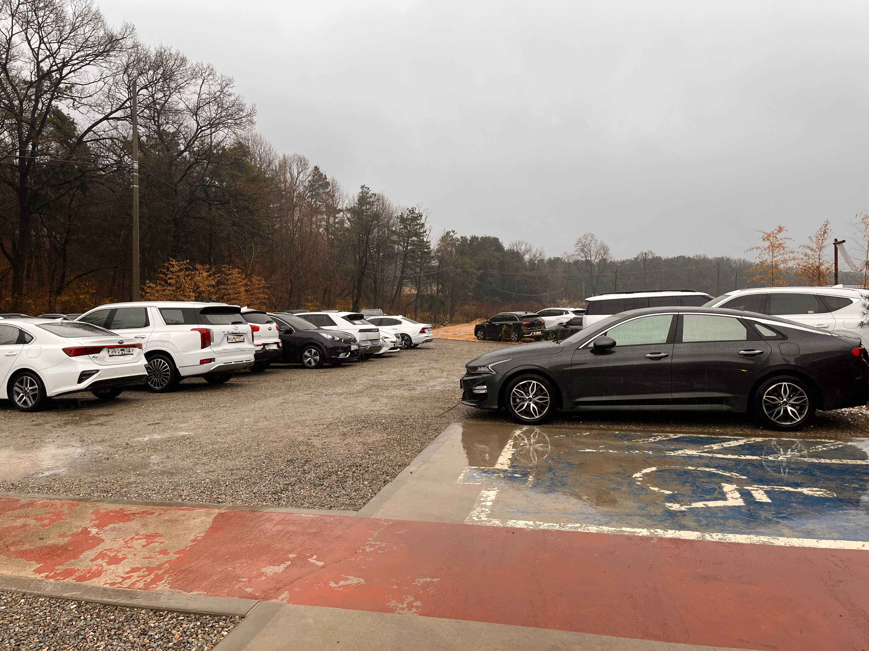 용인 대형 베이커리 카페 아리랑도원