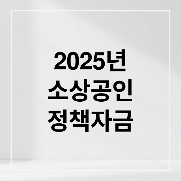 2025 소상공인 정책자금