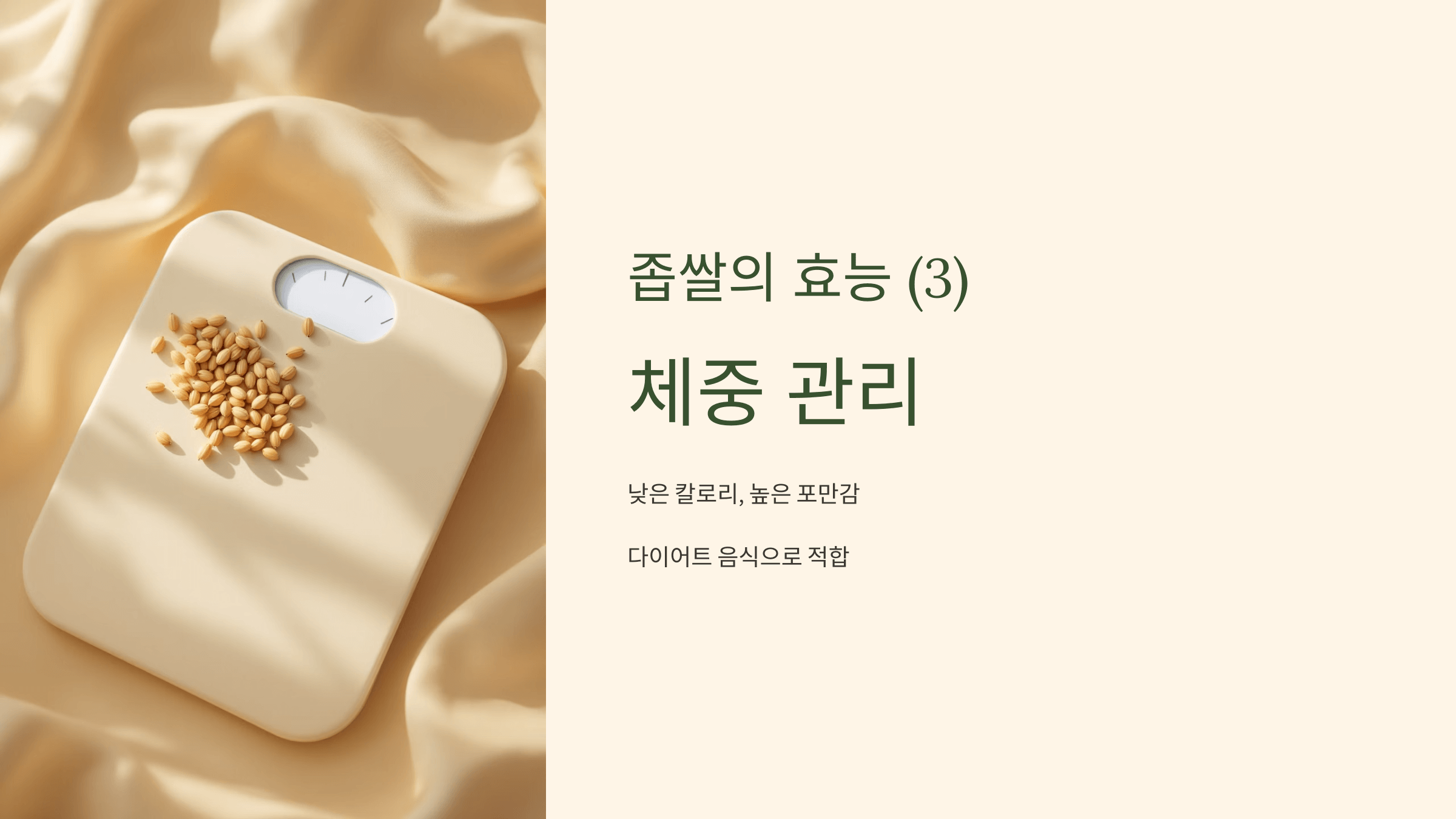 좁쌀 사진입니다.