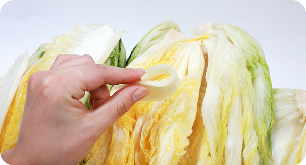 해남 절임배추 (20kg 직거래) 이미지/ 출처: 맑은 해남농원 홈페이지