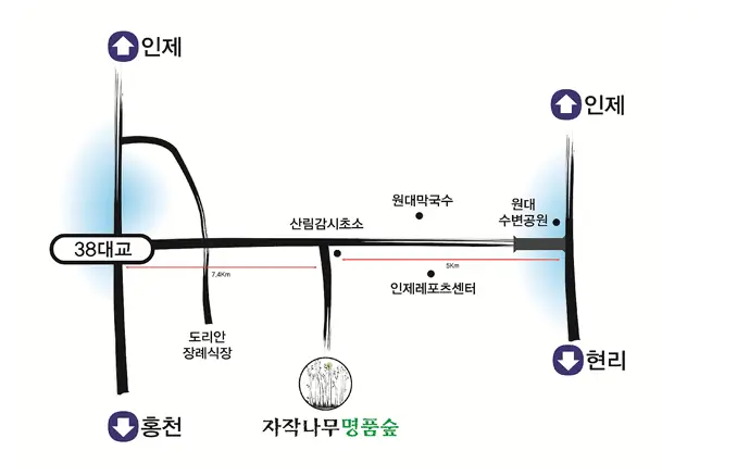 겨울 여행지 추천 인제 자작나무 숲