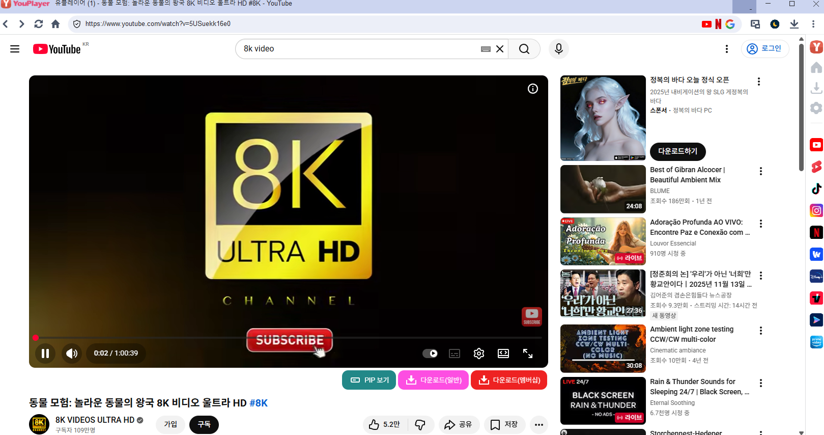 유튜브 광고 제거 다운로드 유플레이어 YouPlayer 유투브 다운로드