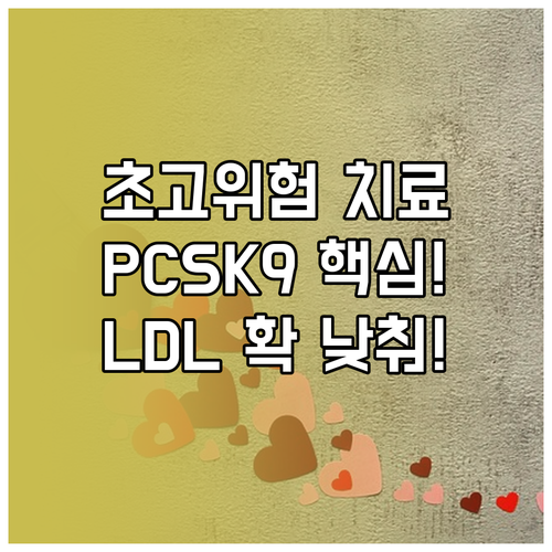 초고위험군 맞춤 치료 스타틴 PCSK..