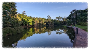 싱가포르 보타닉 가든