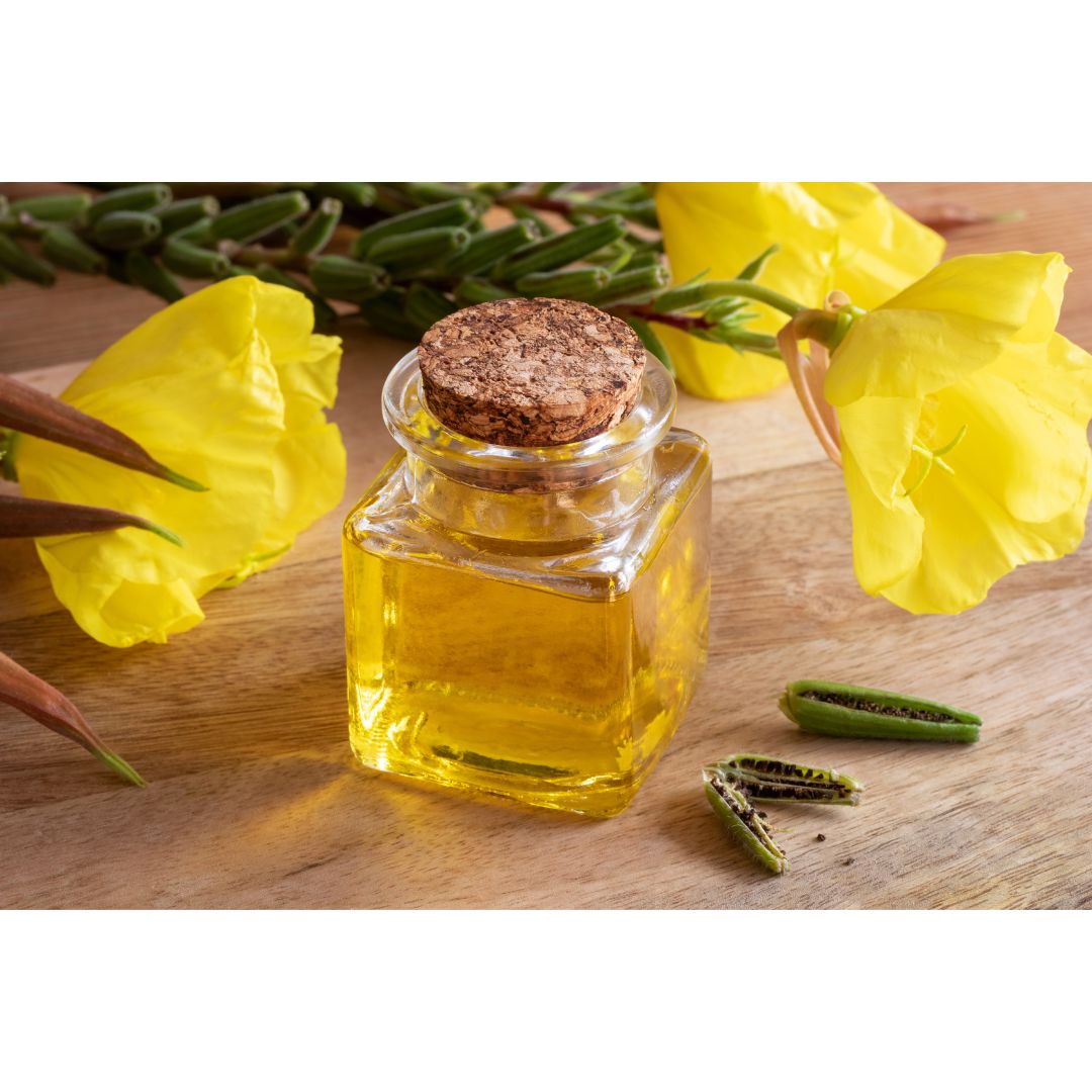 달맞이꽃 종자유 기름입니다