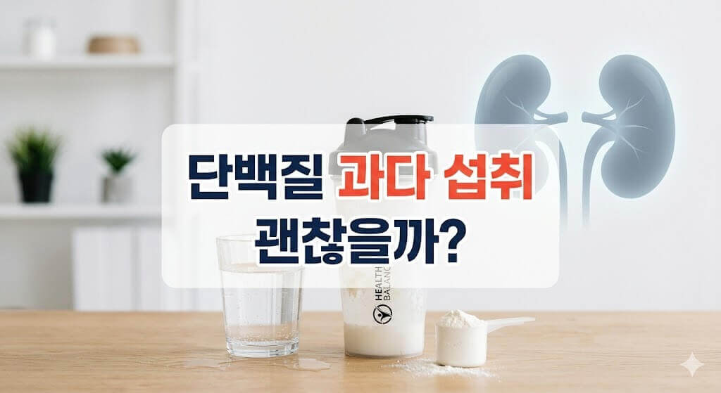 단백질 파우더 과다복용과 신장의 문제를 다루는 인포그래픽