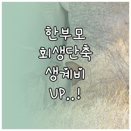 한부모 개인회생 변제기간 단축 혜택 ..
