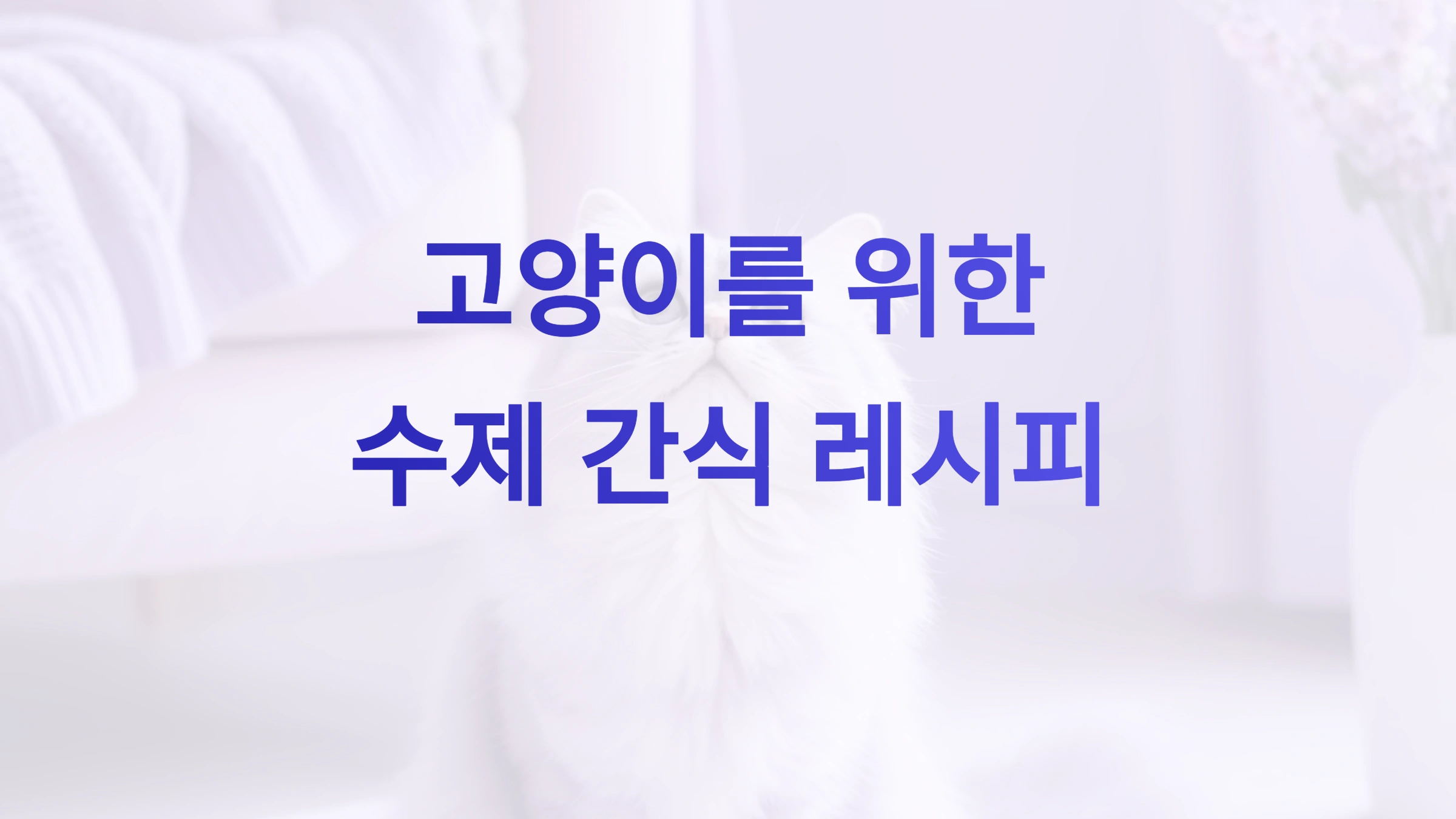 고양이 간식 만들기! 초간단 레시피 3가지 🐱