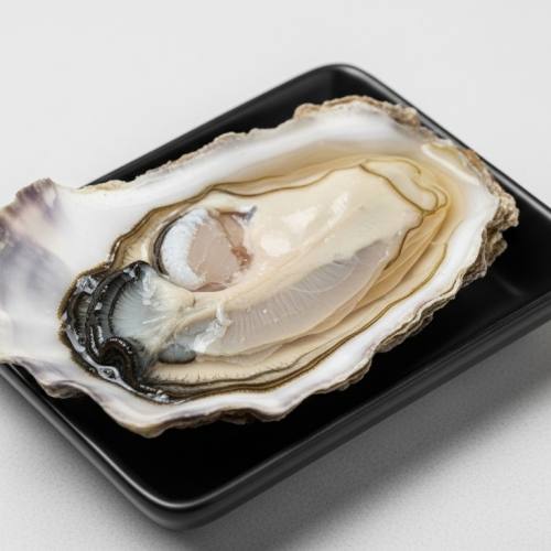 굴의 효능 굴 사진 