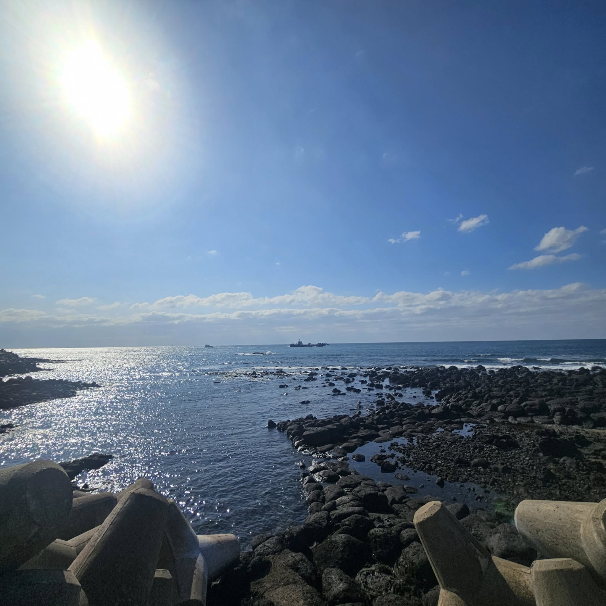 모슬포항과 방어회 한 상이 보이는 겨울 제주 풍경(이미지 교체 예정)