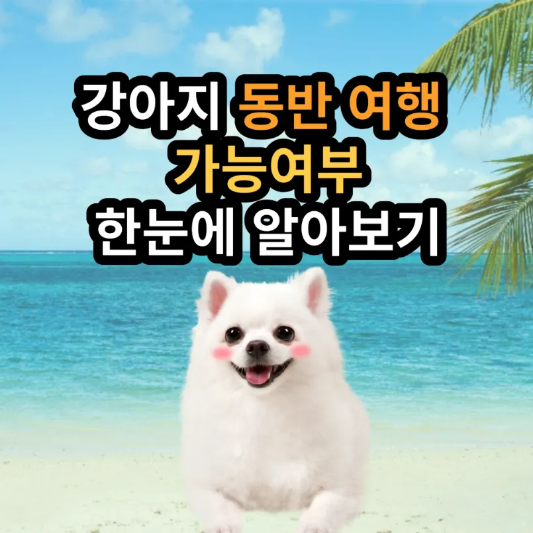 강아지 동반 여행 썸네일