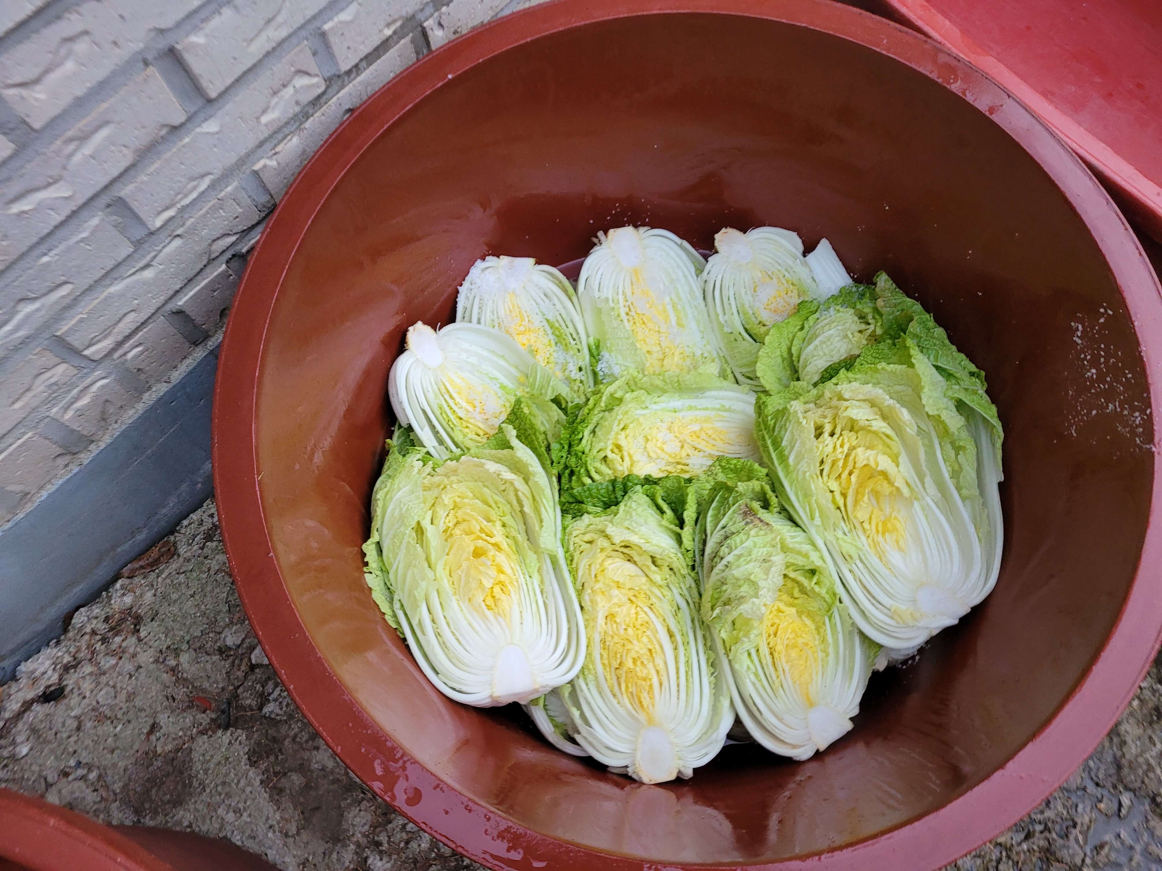 김수미, 갓김치 레시피