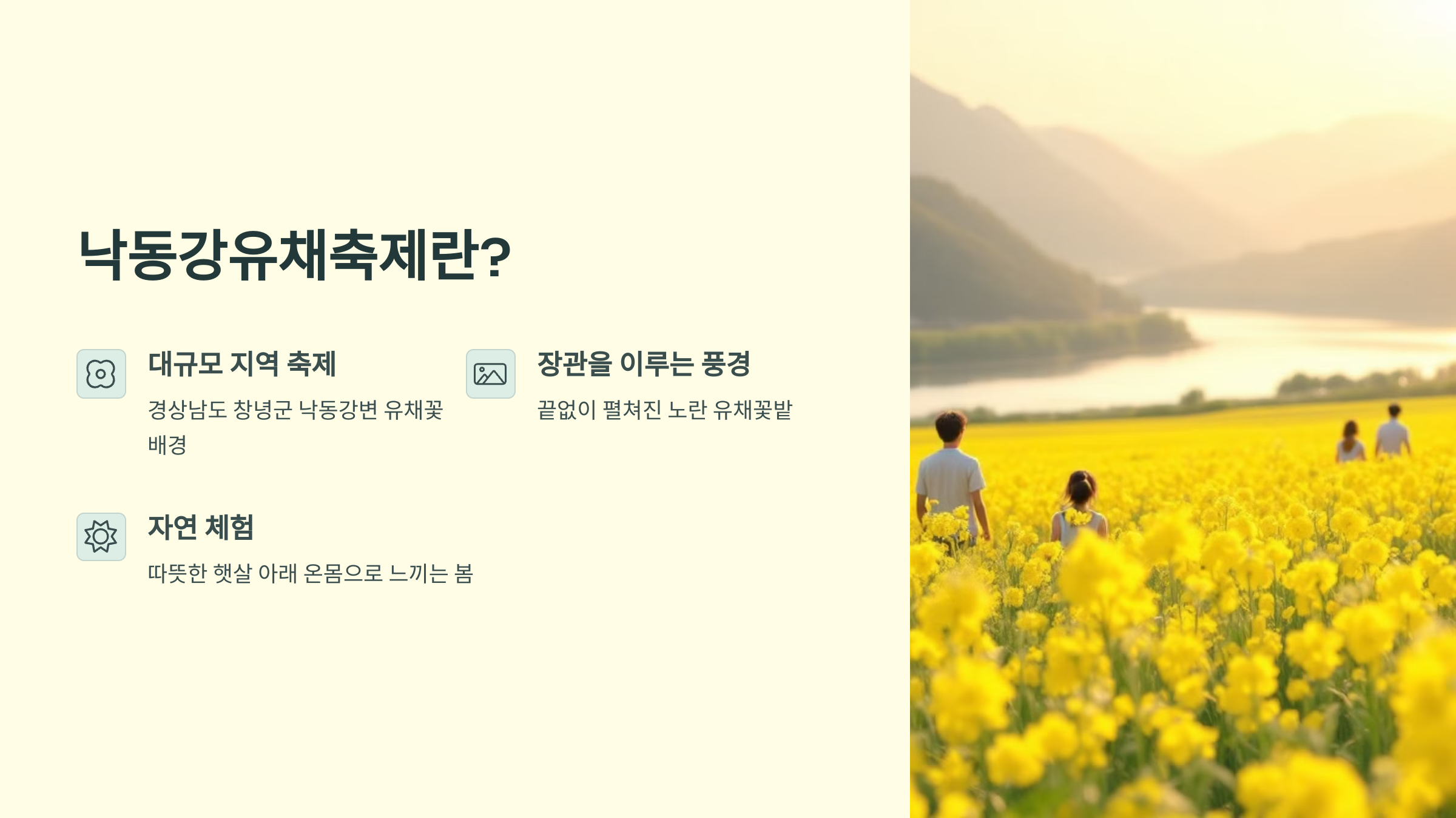 창녕에서 즐기는 2025 낙동강유채축제, 봄을 걷다