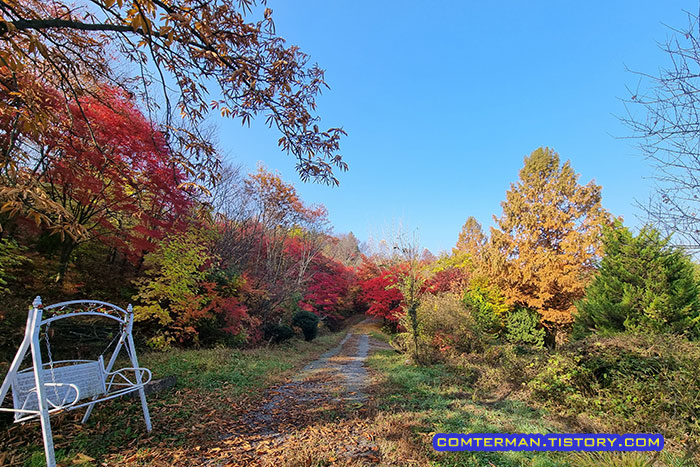 금산 만악리 수목원 산책 시간