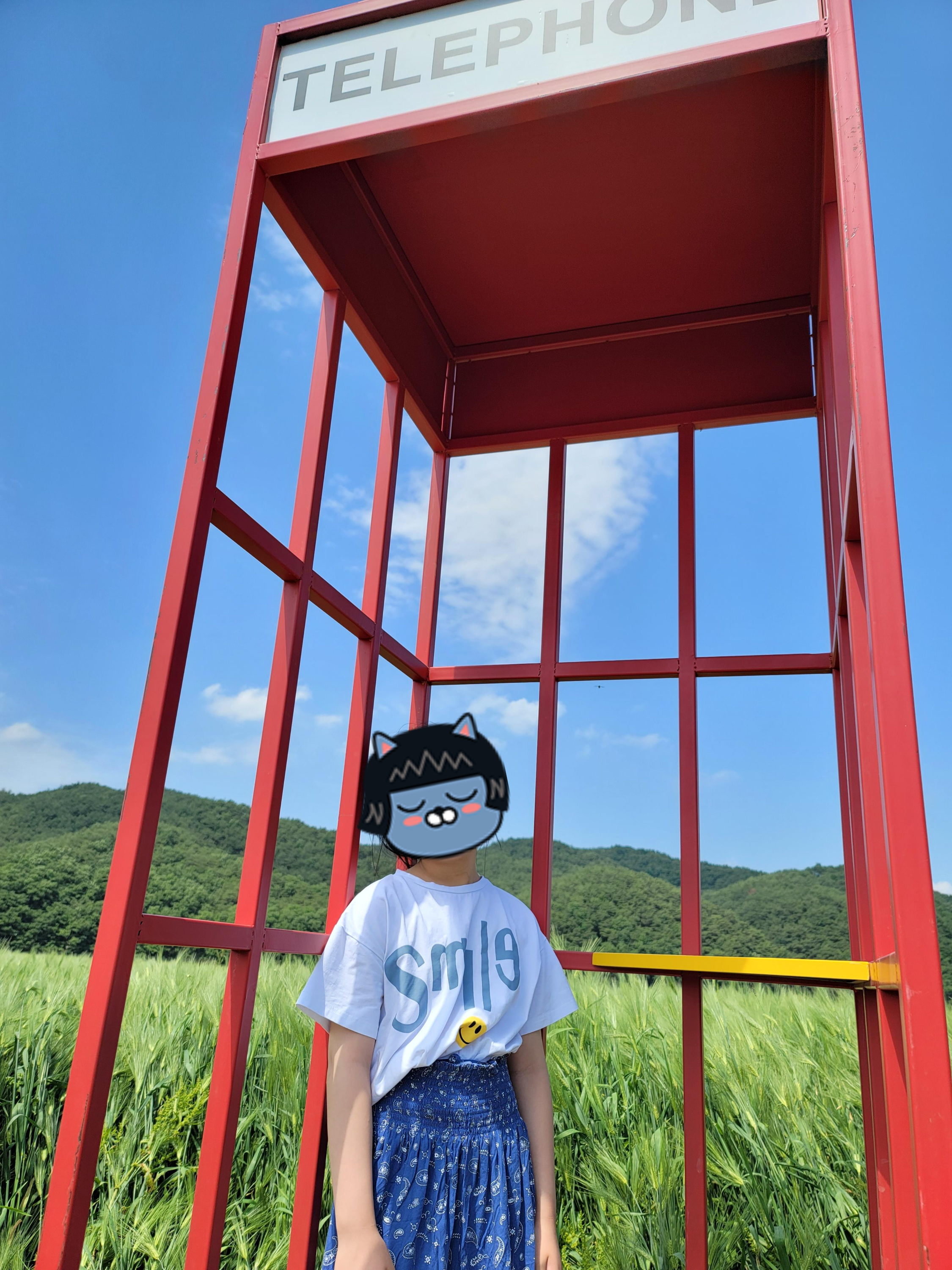 안동 청보리밭 포토존