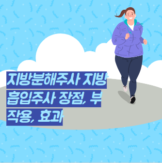 지방분해주사 지방흡입주사 효과 장점 부작용