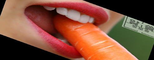 자일로 올리고당 분말 효능 가격