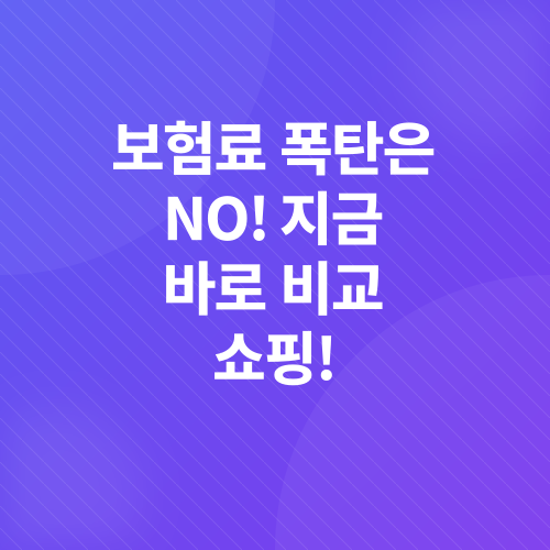 자동차보험 갱신_2