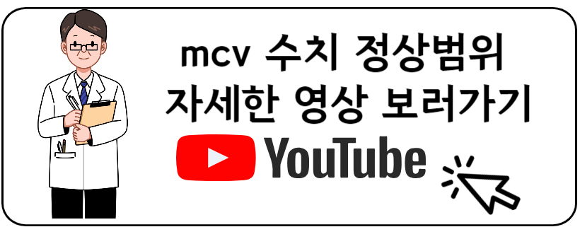 MCV 수치 유투브