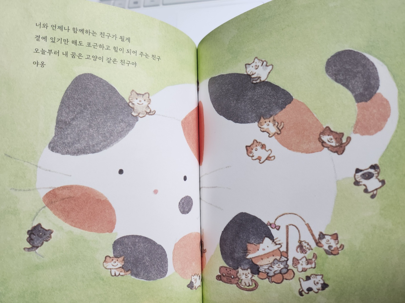 본문 일러스트 - 고양이 그림이 포근해