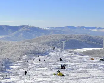 선자령 실시간 cctv&amp;#44; 날씨_21