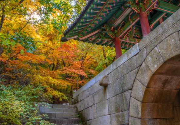 2025 북한산 단풍 절정 날짜 공개! 가을 등산 초보자 코스 & 꿀팁