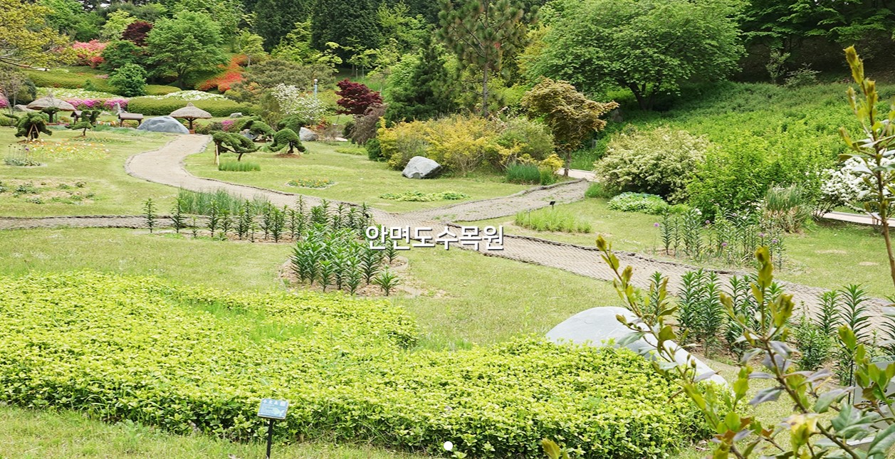 안면도수목원 태안 여행지 추천