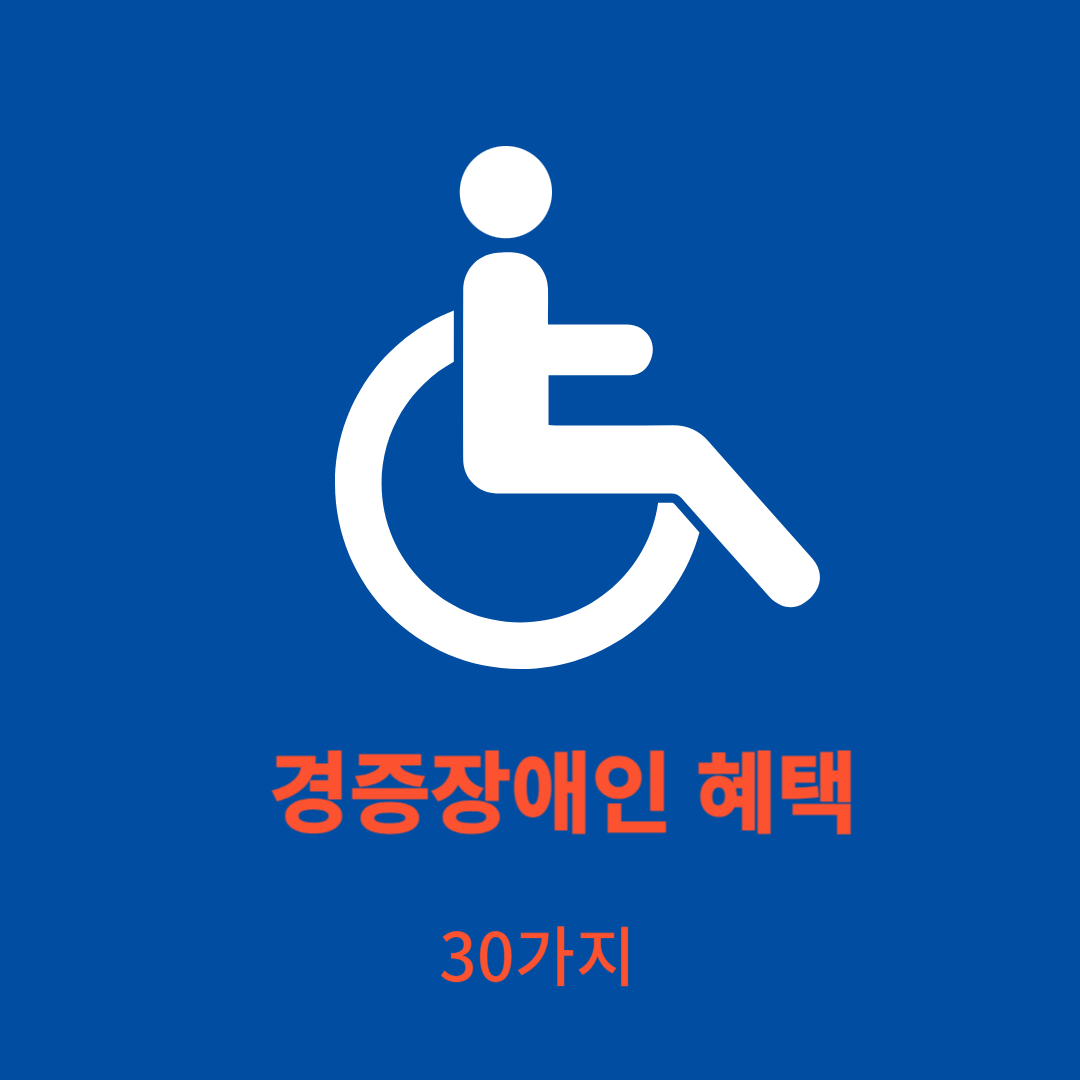 경증장애인 혜택 (30가지)
