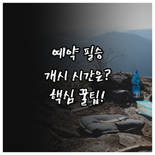 국립공원 야영장 대피소 예약 성공 핵..