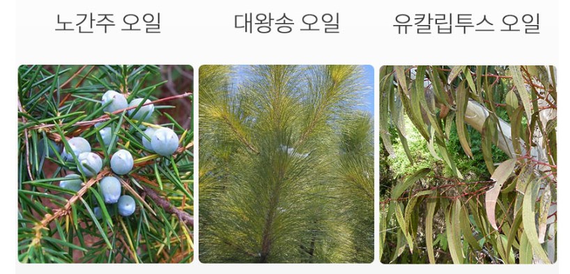 유스트-노간주-크림-후기-2