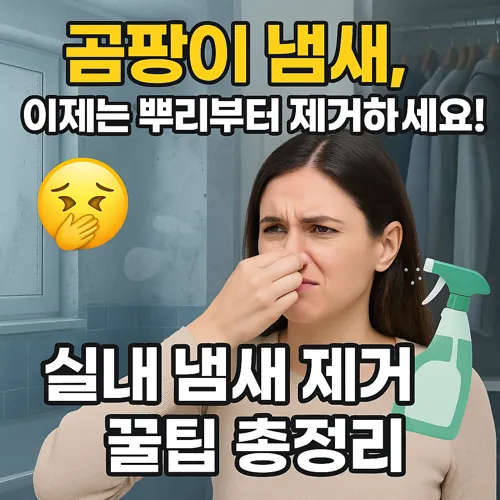 곰팡이 냄새 제거 꿀팁 총정리