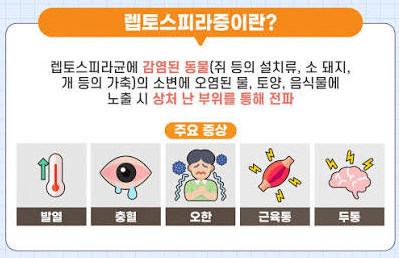 렙토스피라증