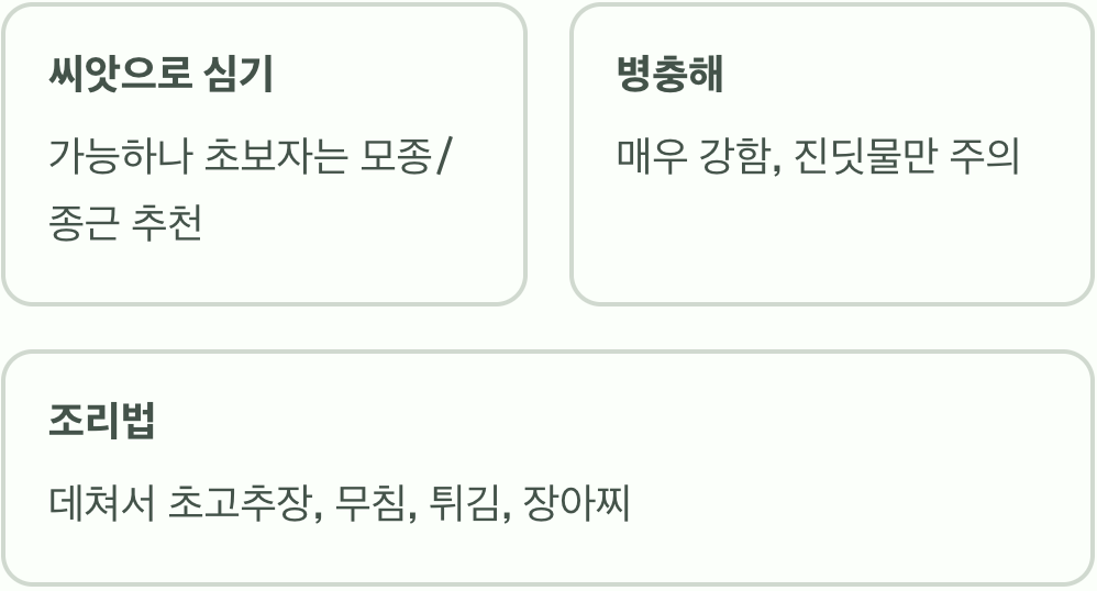 실패 없는 땅두릅모종 키우기 A to Z (심기, 관리, 수확)