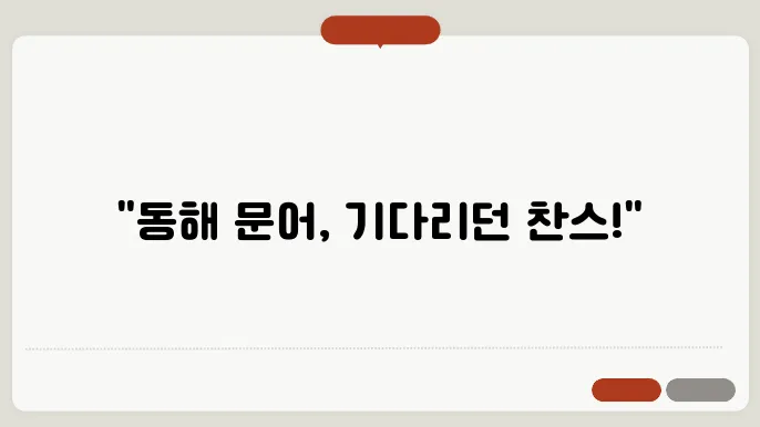 동해 문어낚시 시즌