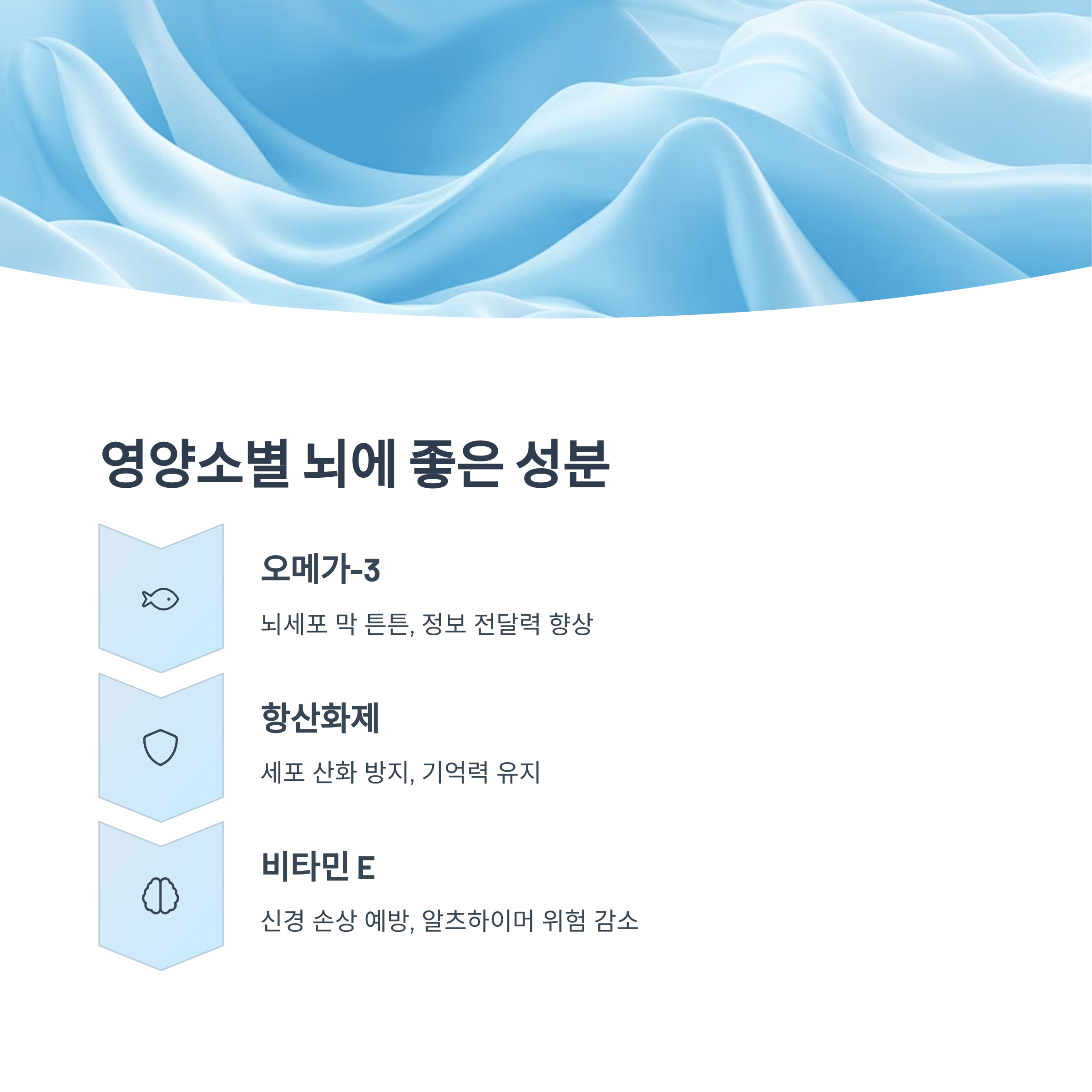 파란색 배경에 오메가-3, 항산화제, 비타민 E가 뇌에 좋은 성분으로 소개된 이미지. 각 성분의 기능과 뇌 건강에 미치는 긍정적 영향이 간결하게 요약되어 있음.