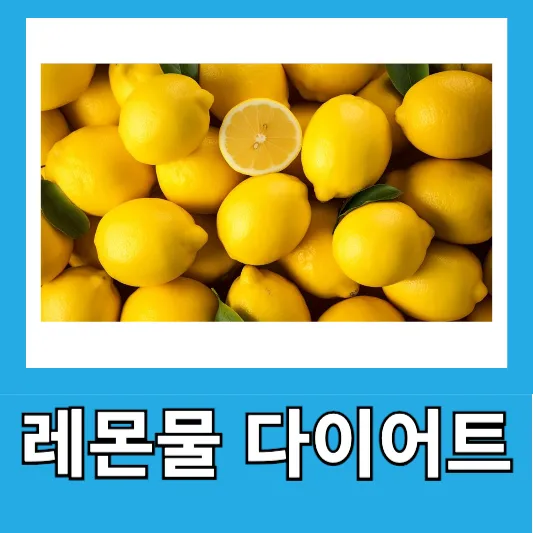 레몬물 다이어트