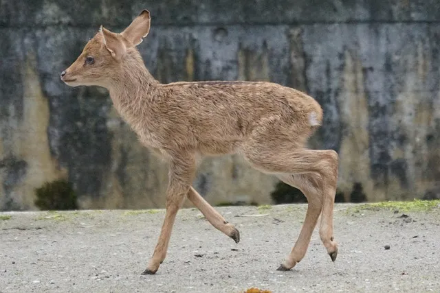 이제 역전되리라 G Ab A Bb B C 악보 PDF로 악보모음_6