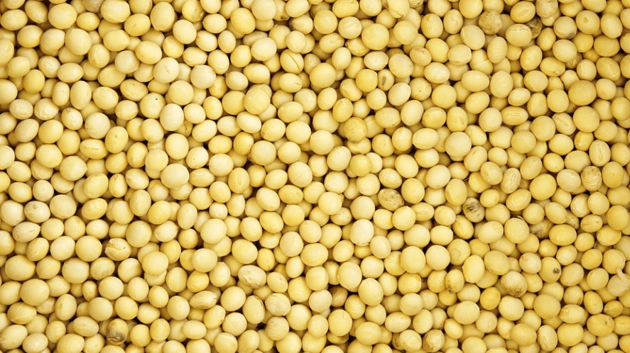 항산화 물질이 많은 음식 일곱 번째 사진