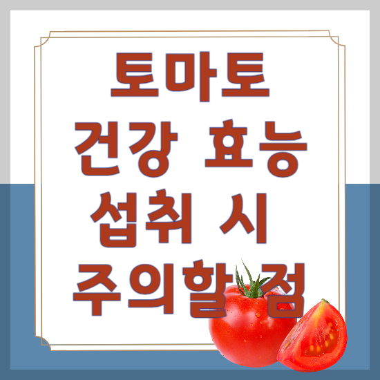 토마토의 효능과 섭취 시 주의할 점
