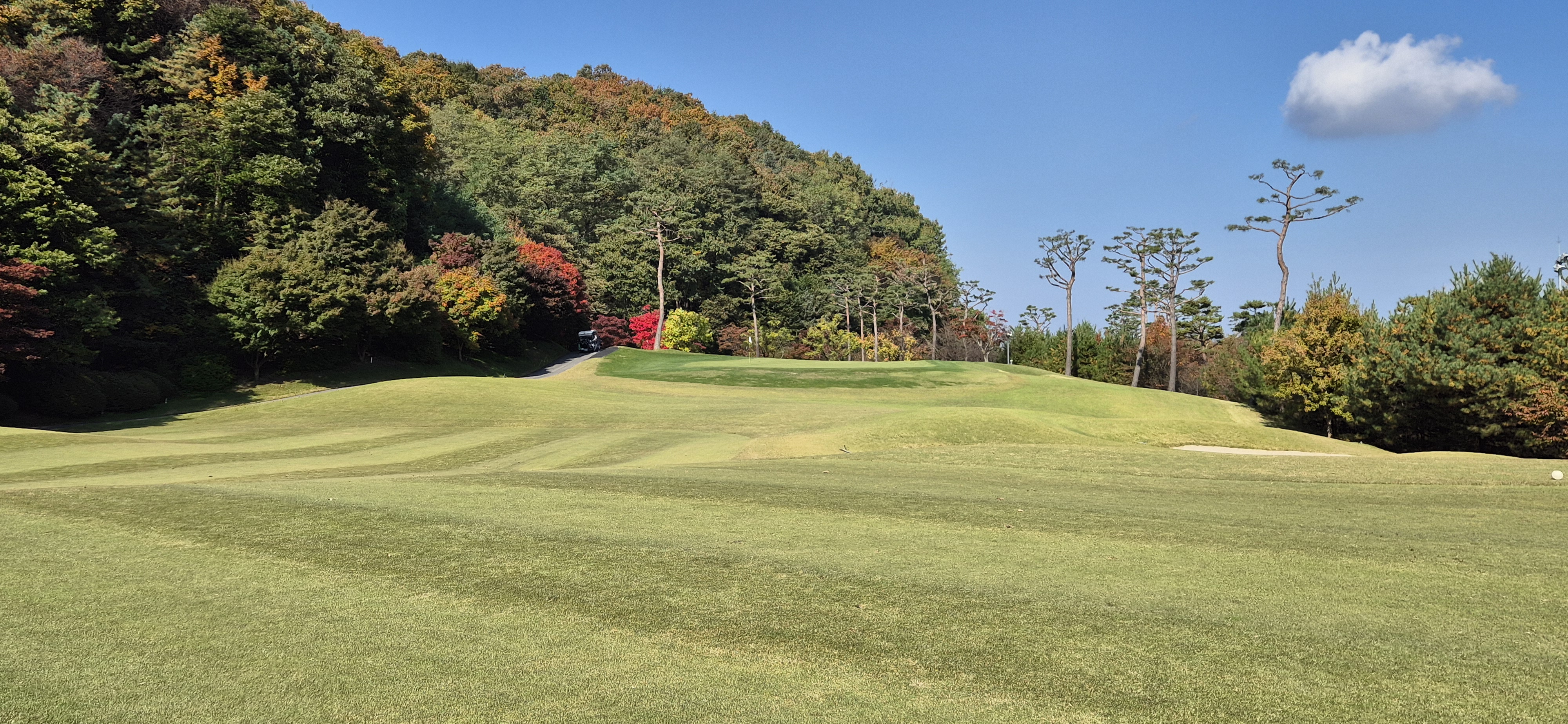 소피아그린cc