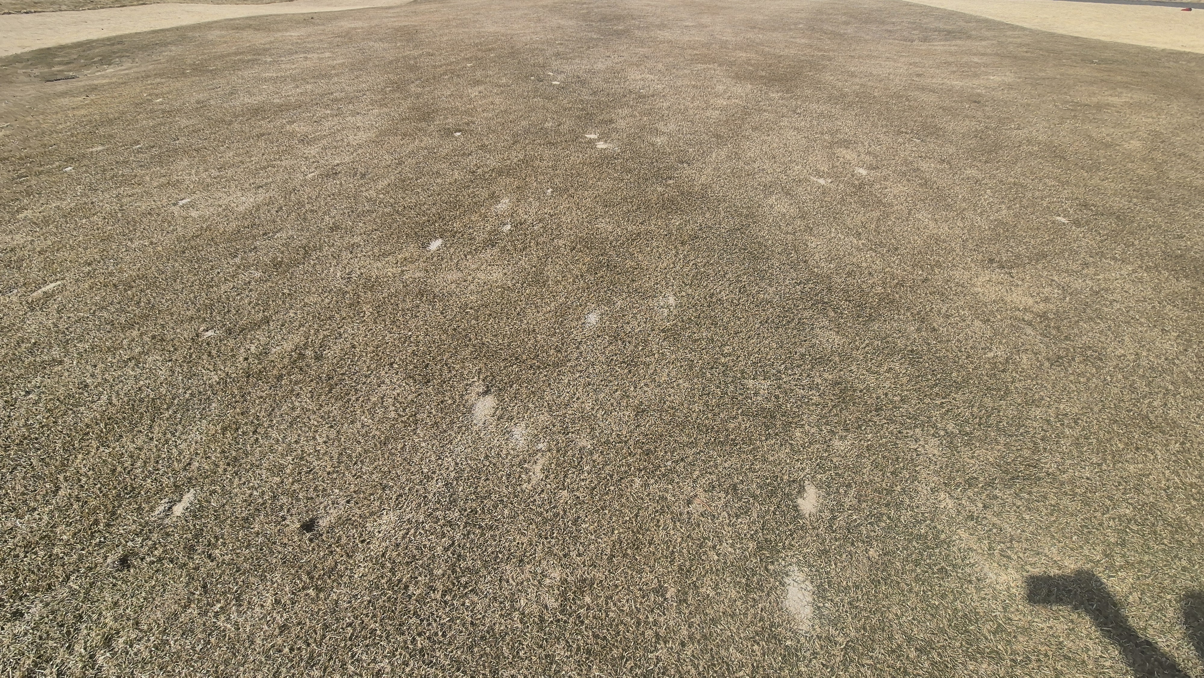 아난티코드gc 잣나무-느티나무 코스 관리상태